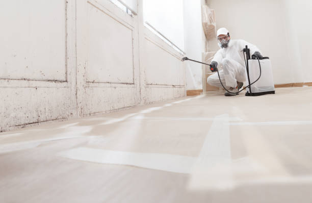 Trusted Attic Mold Removal service in Newton Lower Falls, MA - WQB Mold Removal